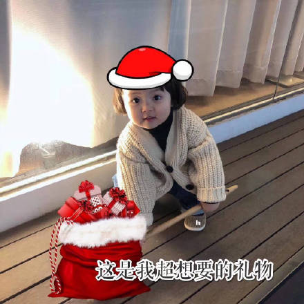 我的圣诞礼物呢 圣诞节表情包