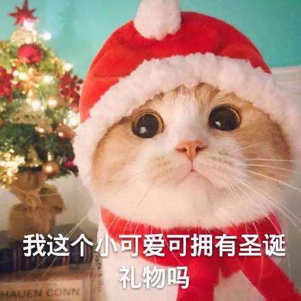 我的圣诞礼物呢 圣诞节表情包