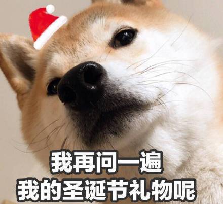 我的圣诞礼物呢 圣诞节表情包