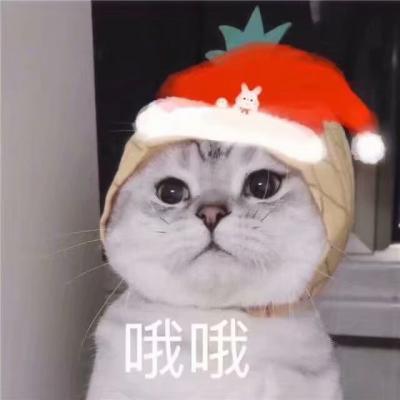 哦哦 看我的圣诞帽好不好看 不同颜色的圣诞帽