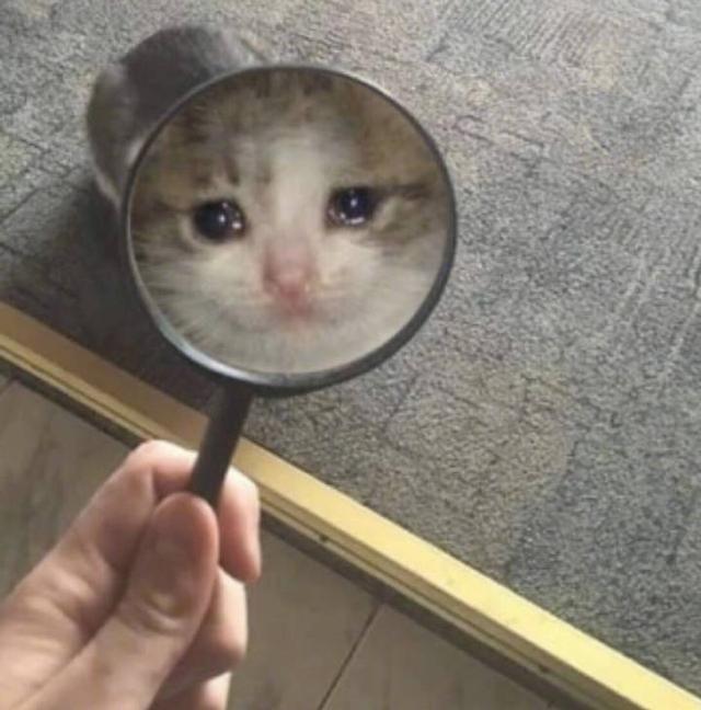 放大镜拿来 沙雕表情包