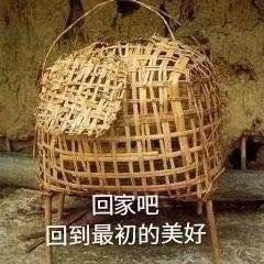 回家 沙雕表情包