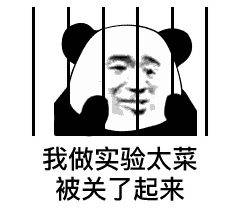 菜狗qq微信表情包