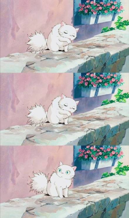 宫崎骏壁纸，赶紧码了吧！