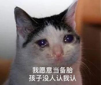 网恋么你可能是那个备胎哟