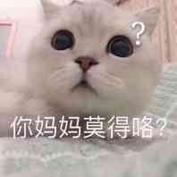 莫得感情搞笑斗图表情包