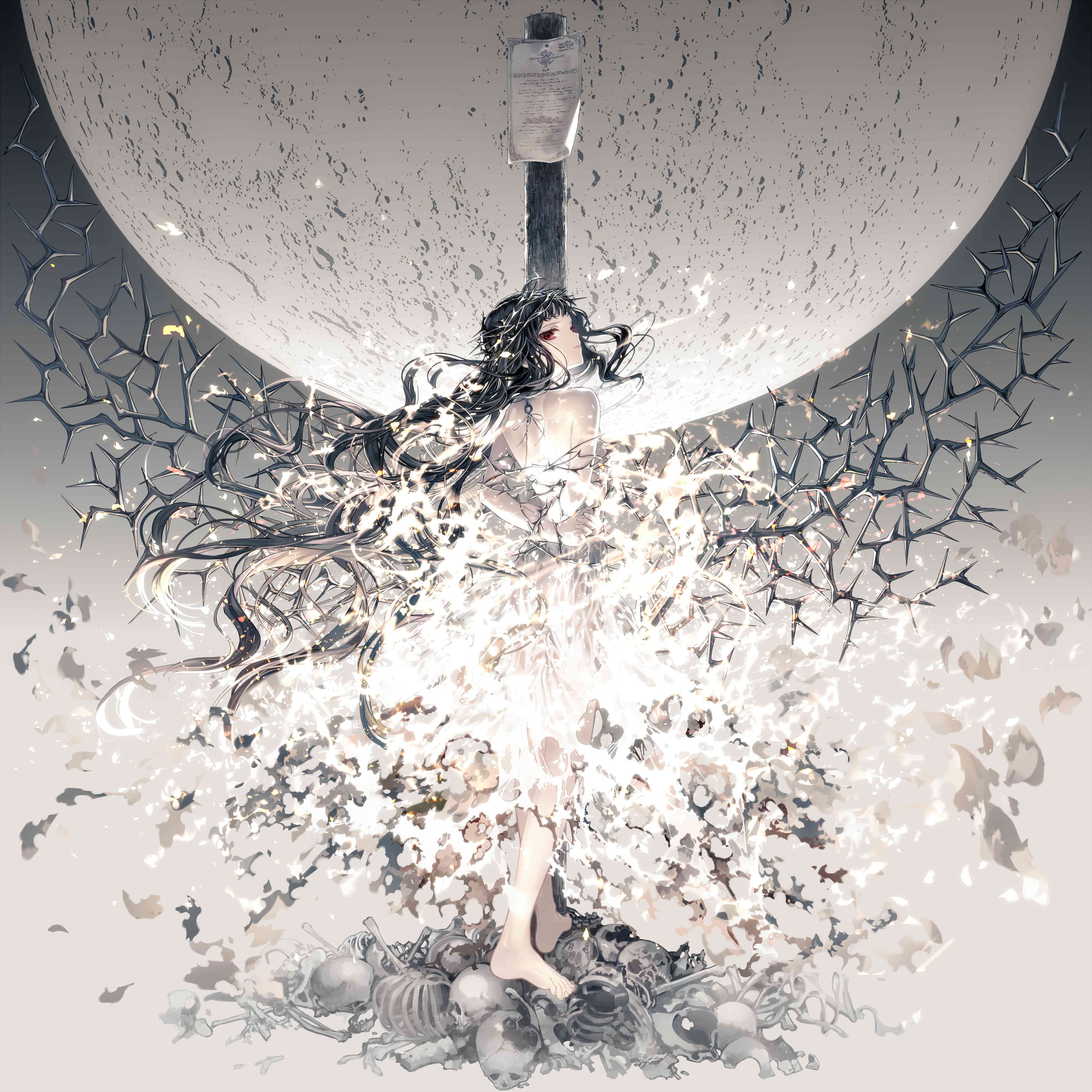 美图推荐——赏月特辑