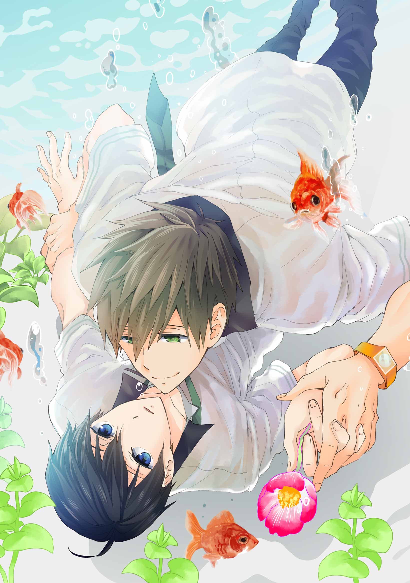 Free!男子游泳部 动漫手机壁纸