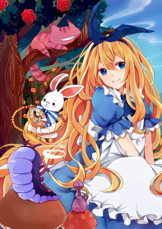 一花一世界 手机壁纸 这是只属于我的精彩