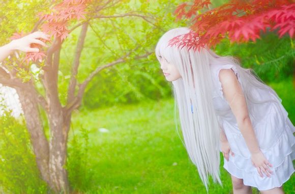 【COS】我们仍未知道我们那天所看见的花的名字