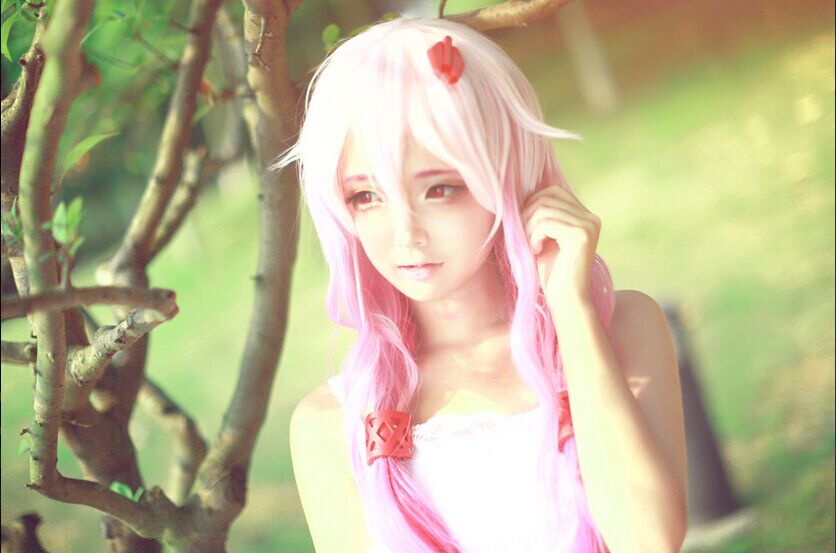 【授权cos】罪恶王冠 楪祈&真名