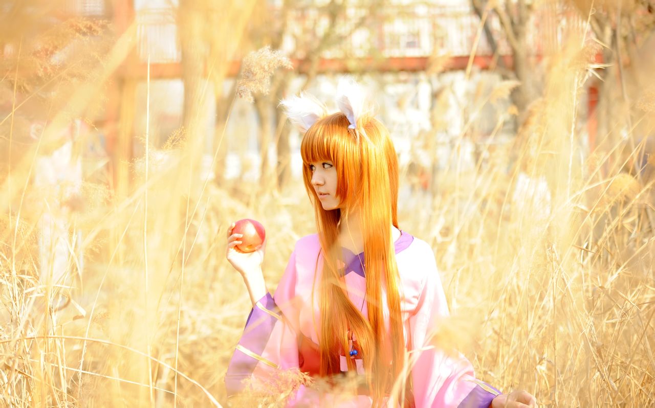 狼与香辛料 赫萝cos