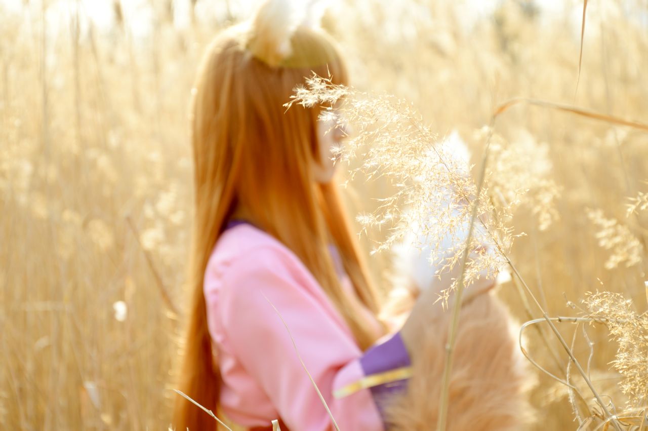 狼与香辛料 赫萝cos