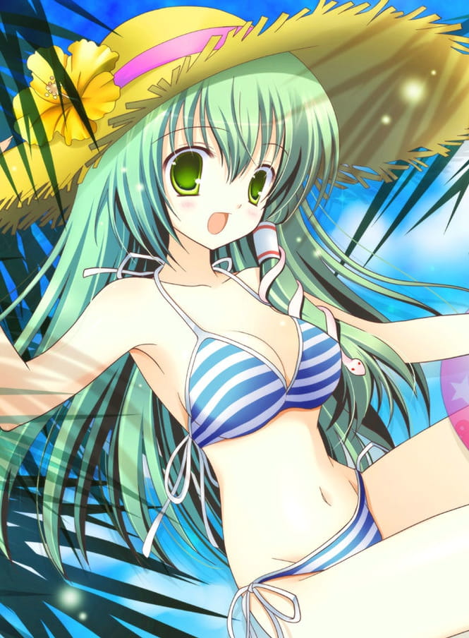 【壁纸】东方project 东风谷早苗手机壁纸分享