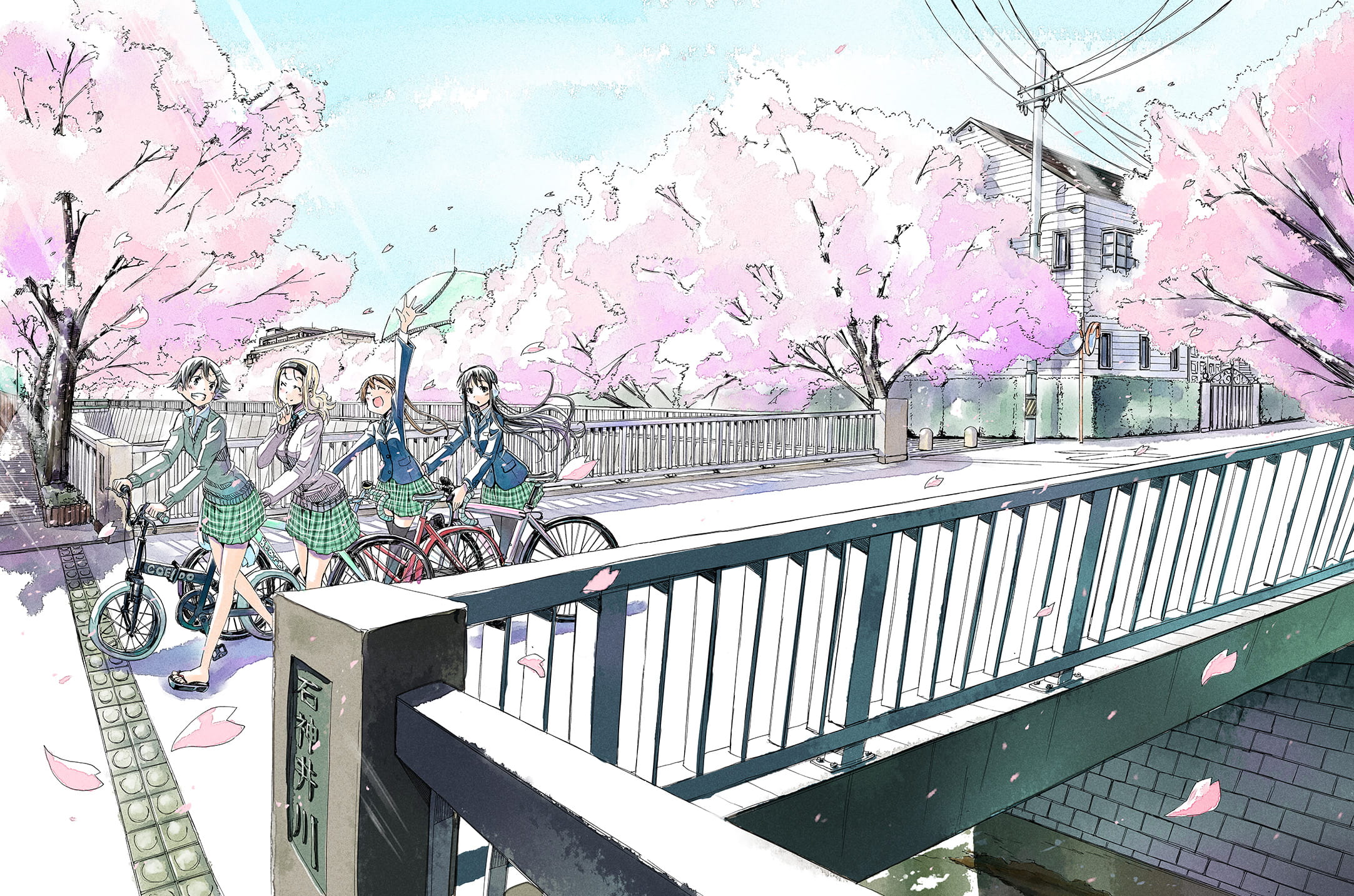 简单清新的电脑壁纸