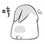 呆萌萌的扒着 灰兔子表情包