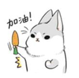 呆萌萌的扒着 灰兔子表情包