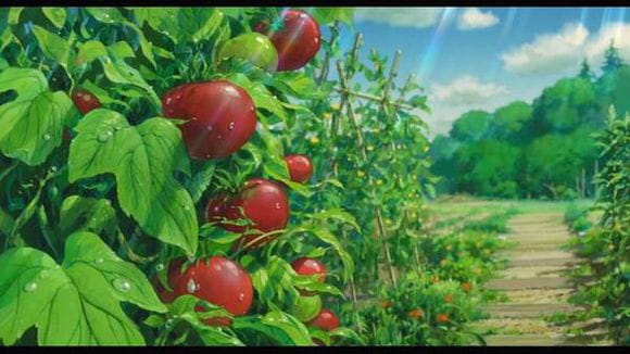 大师之作！宫崎骏所有作品里的美景第三期