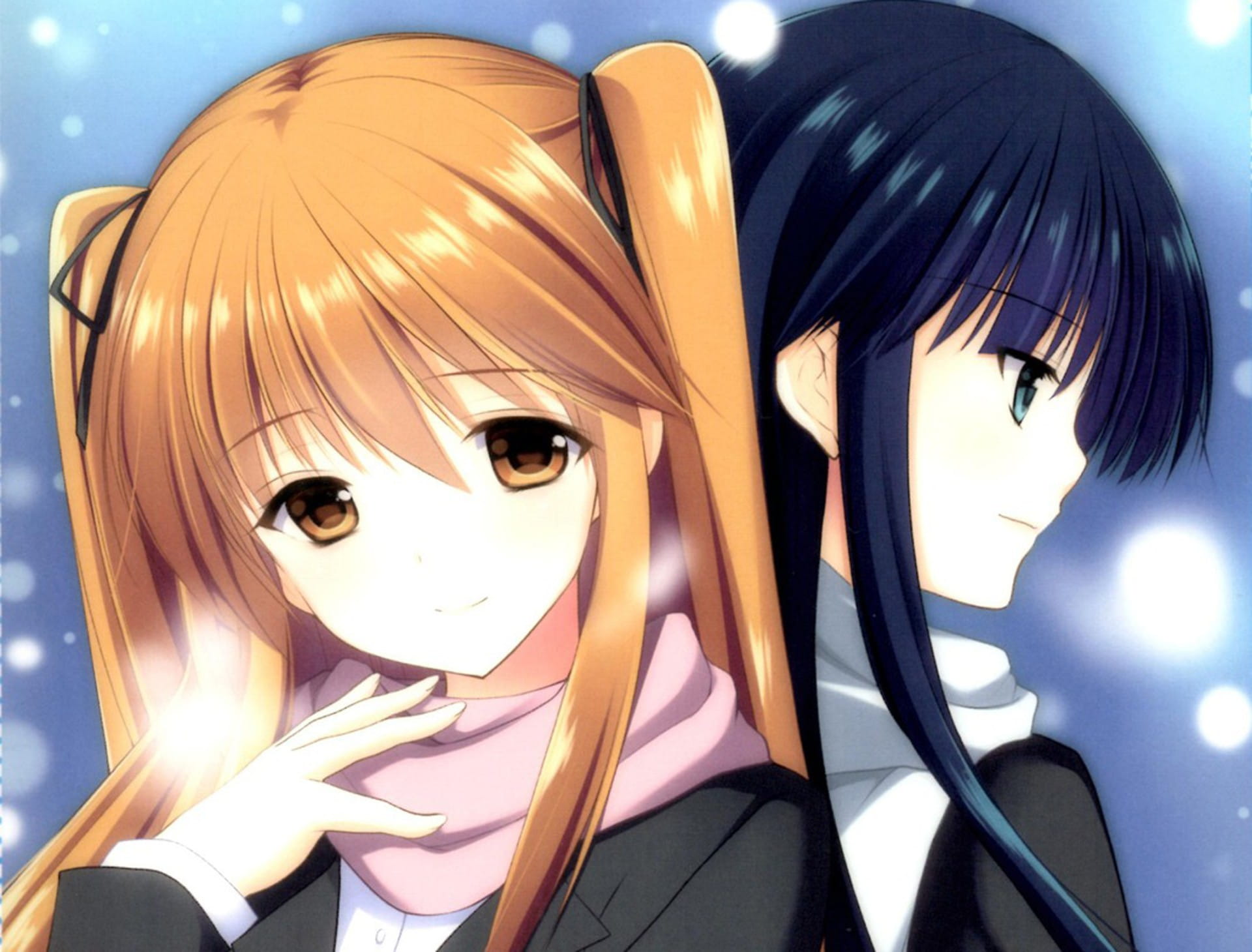 白色相簿2电脑壁纸 为什么你收图这么熟练