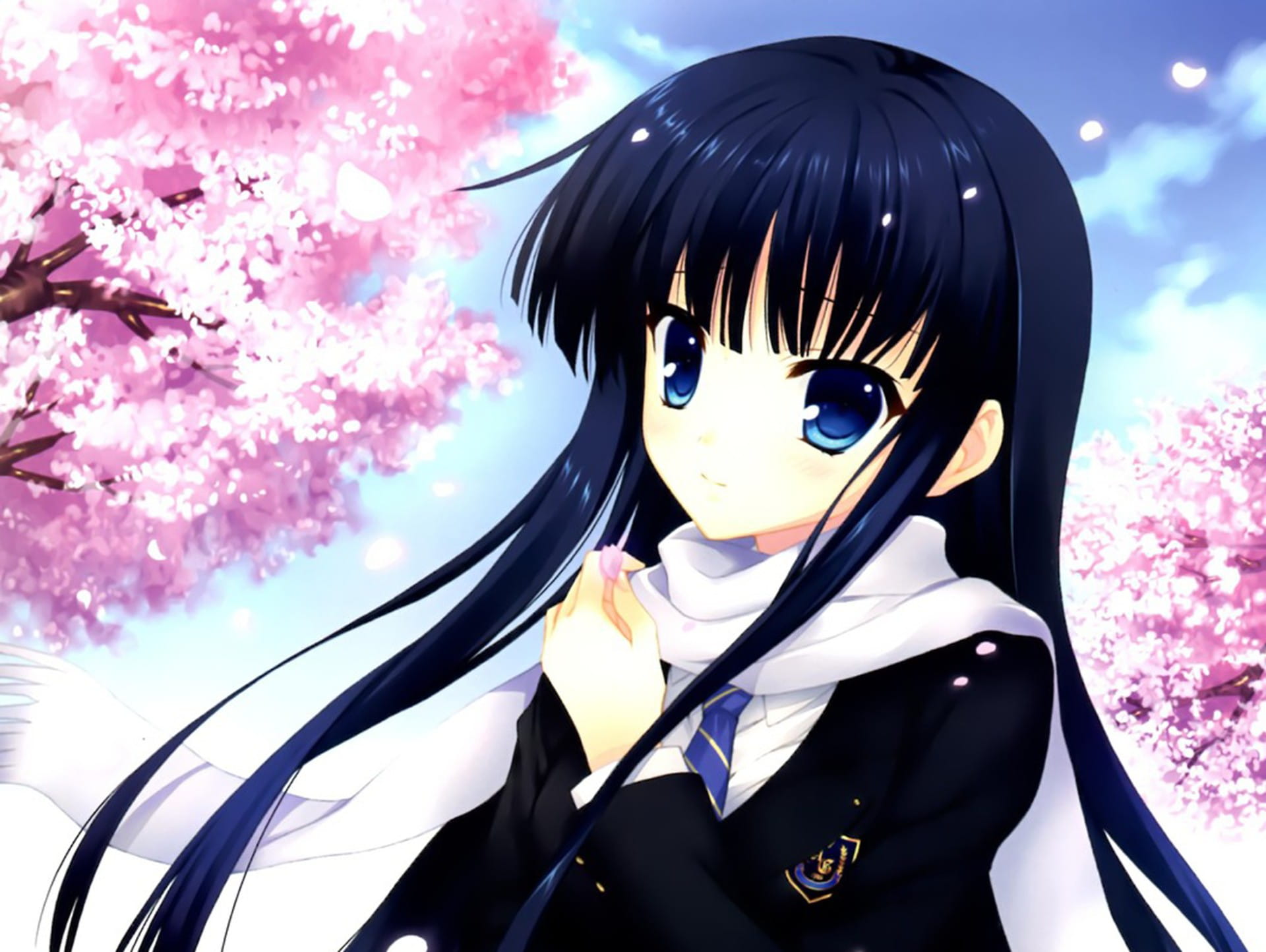 白色相簿2电脑壁纸 为什么你收图这么熟练