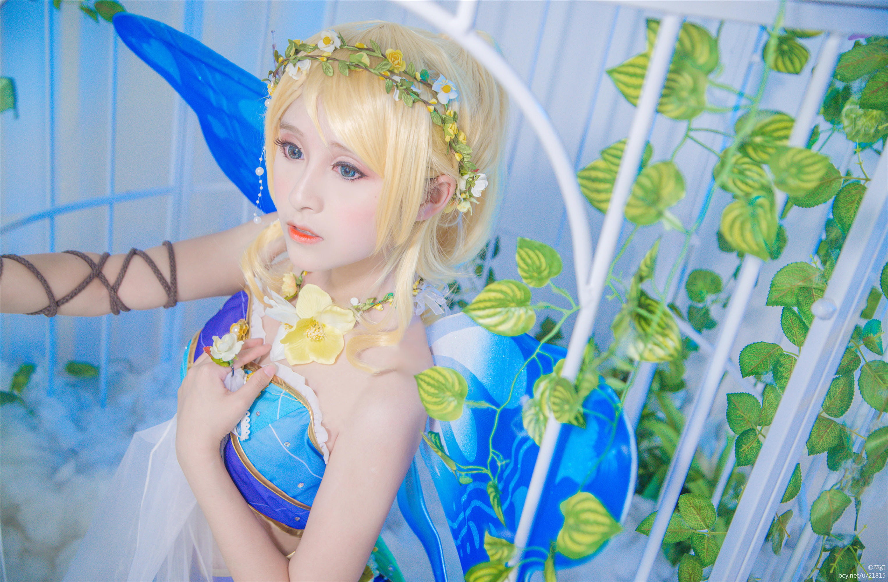 【授权】LoveLive!花妖精觉醒 cos