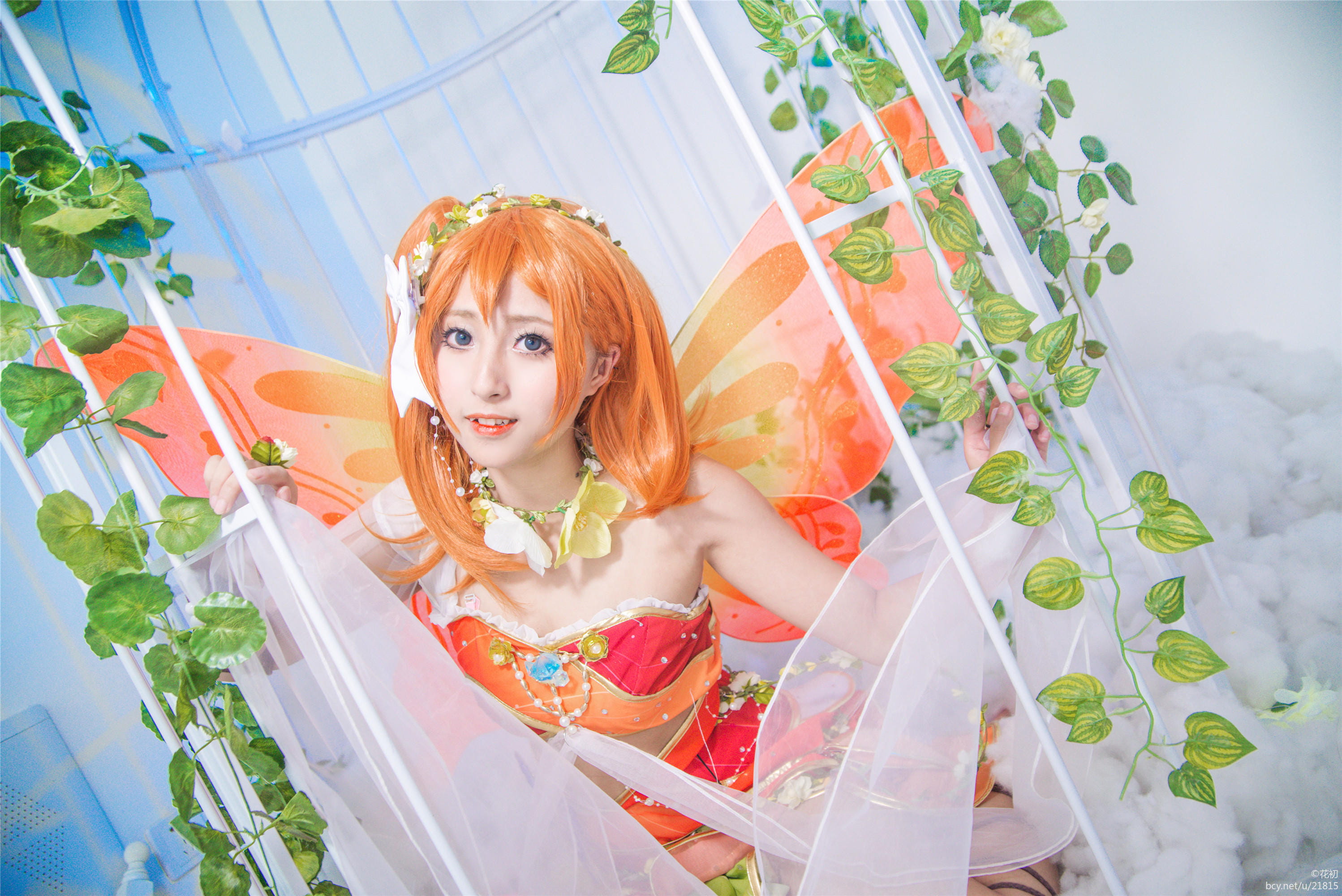 【授权】LoveLive!花妖精觉醒 cos