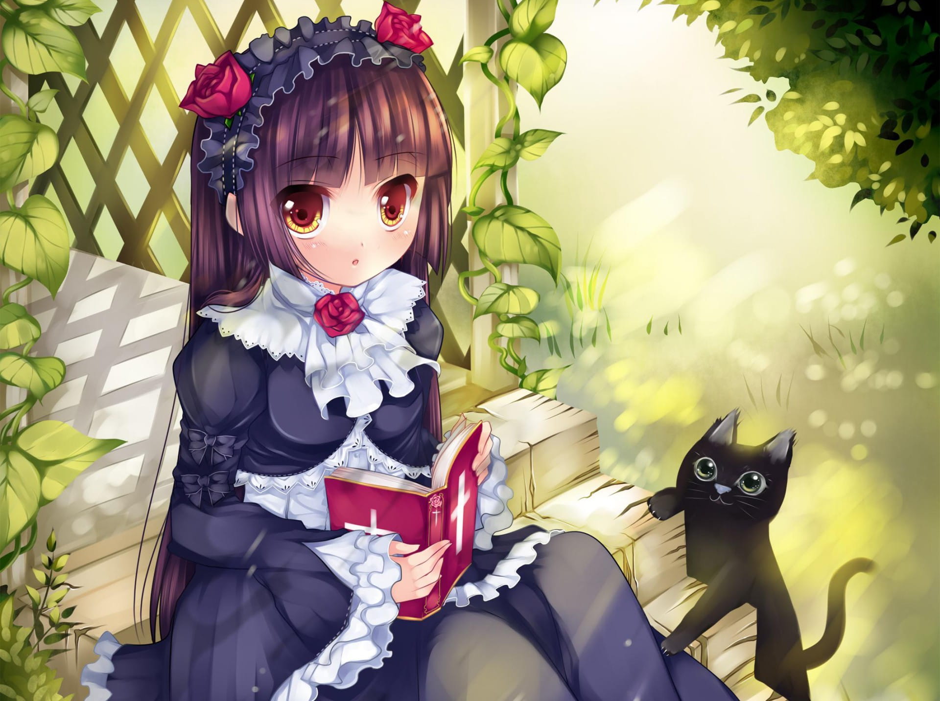 我的妹妹不可能那么可爱五更琉璃 黑猫壁纸美图(1)