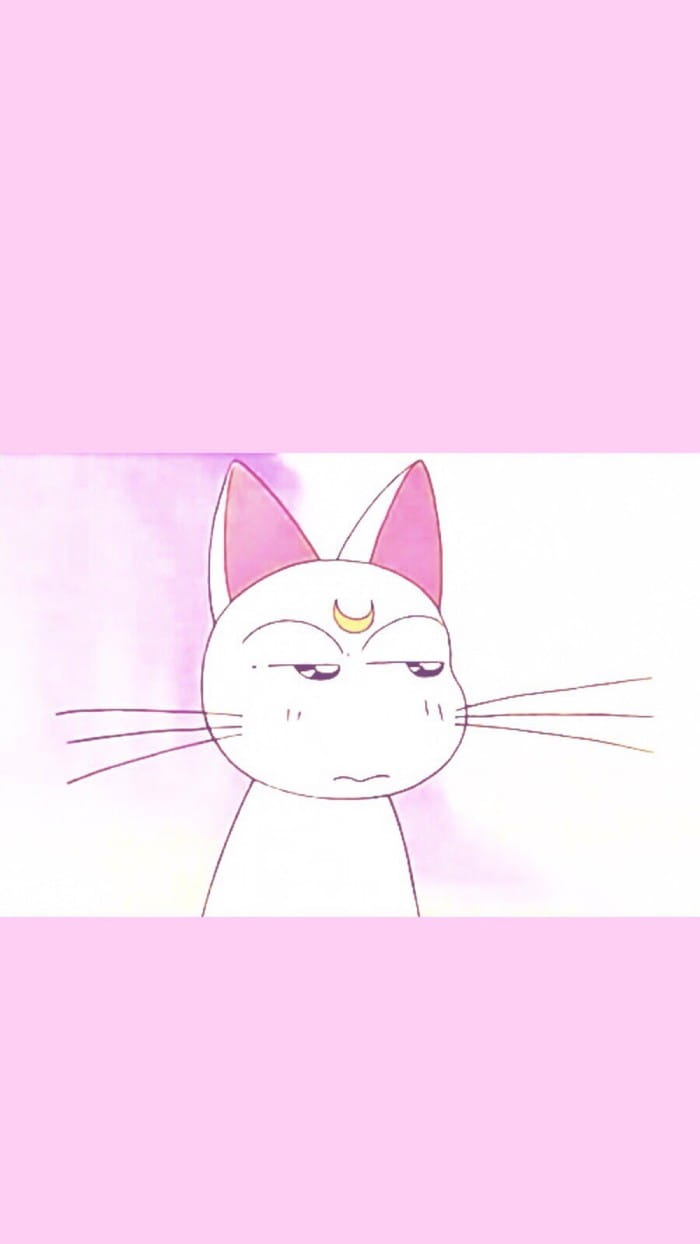 追忆同年 《美少女战士》手机壁纸