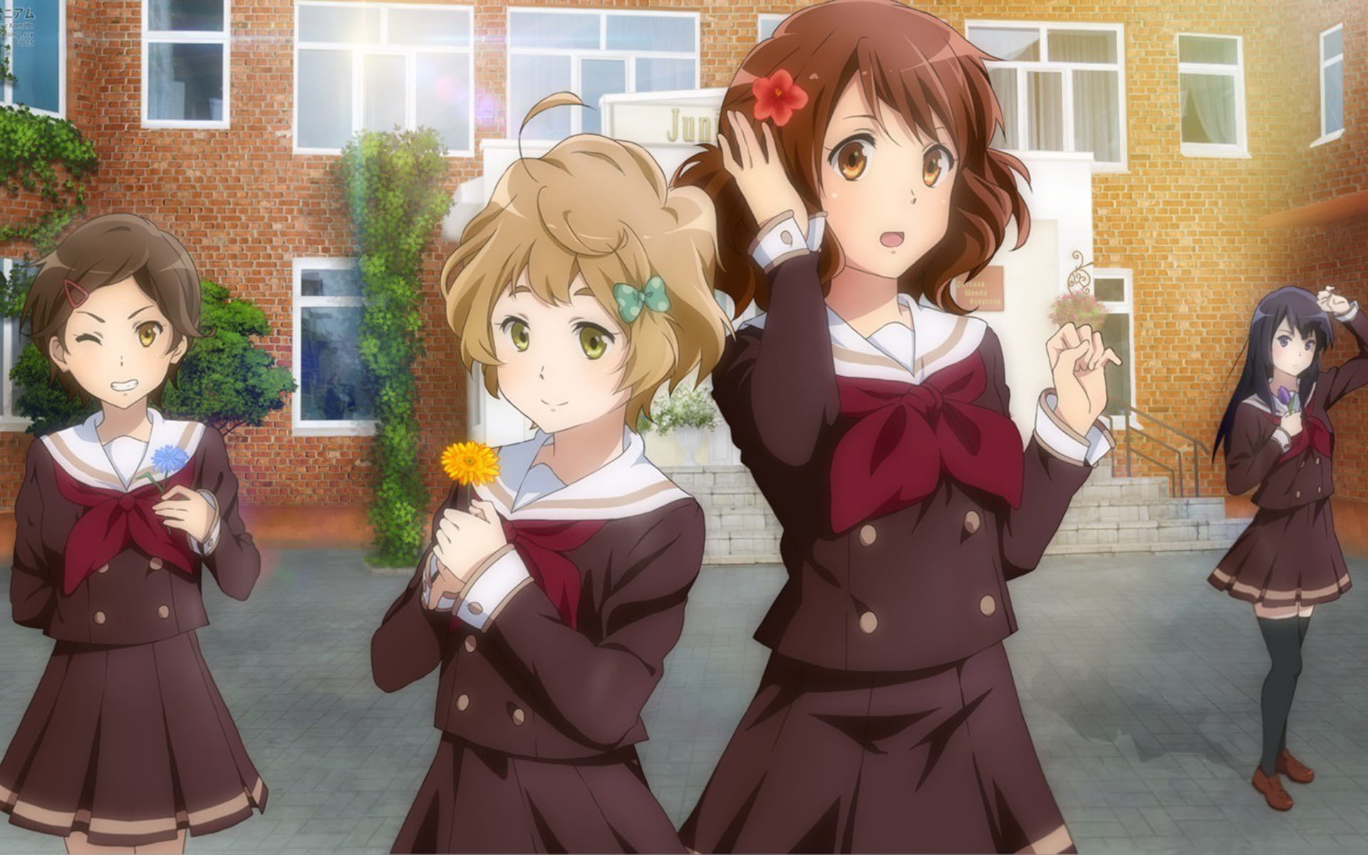 吹响吧!上低音号 动漫桌面壁纸