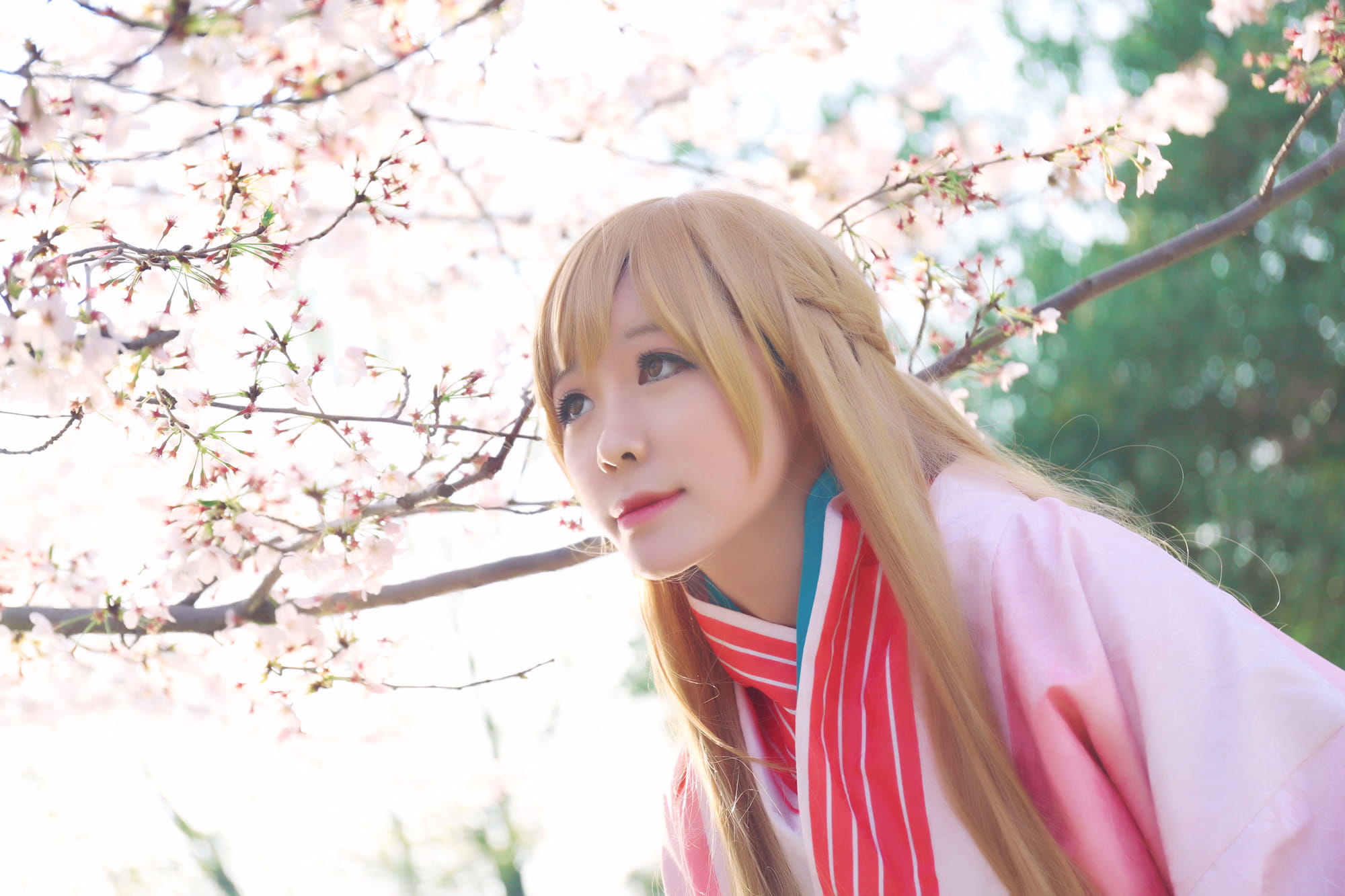 【授权】刀剑神域 亚丝娜新春和服cos