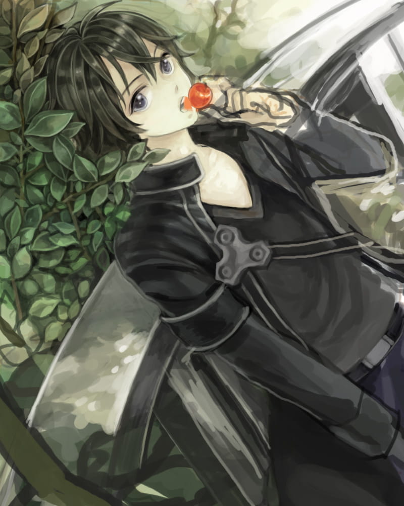 刀剑神域桐谷和人精美手机壁纸