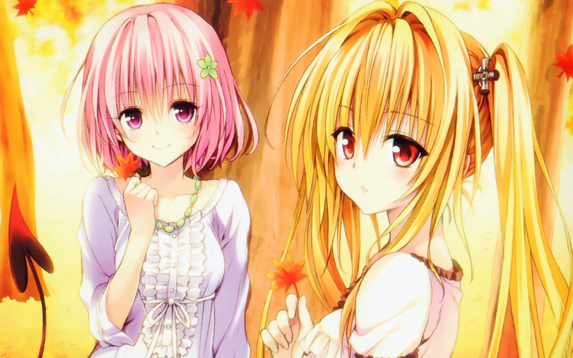 TOLOVE出包女王梦梦电脑壁纸下载