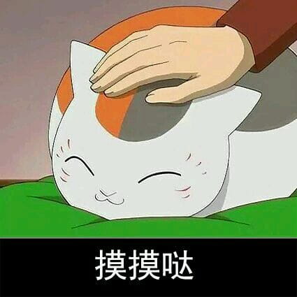 猫咪老师 表情包一组