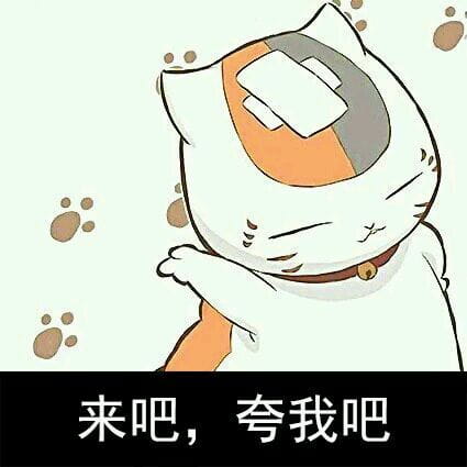 猫咪老师 表情包一组