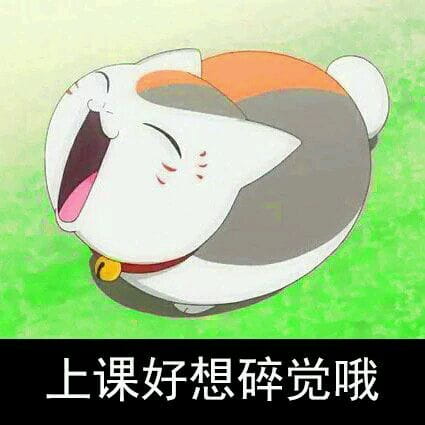 猫咪老师 表情包一组