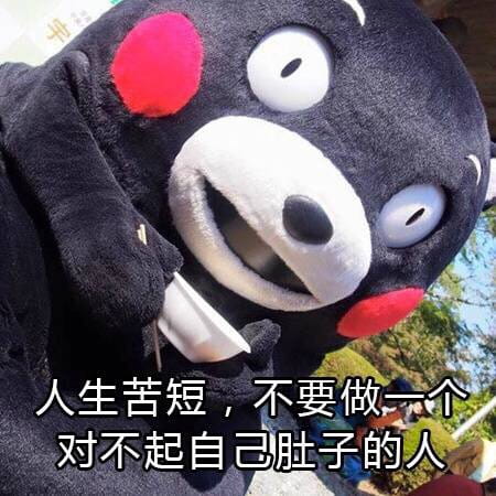 关于减肥的二三事 熊本熊系列表情