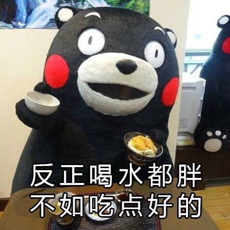 关于减肥的二三事 熊本熊系列表情