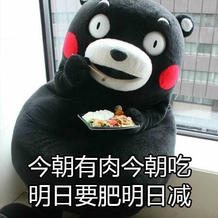 关于减肥的二三事 熊本熊系列表情