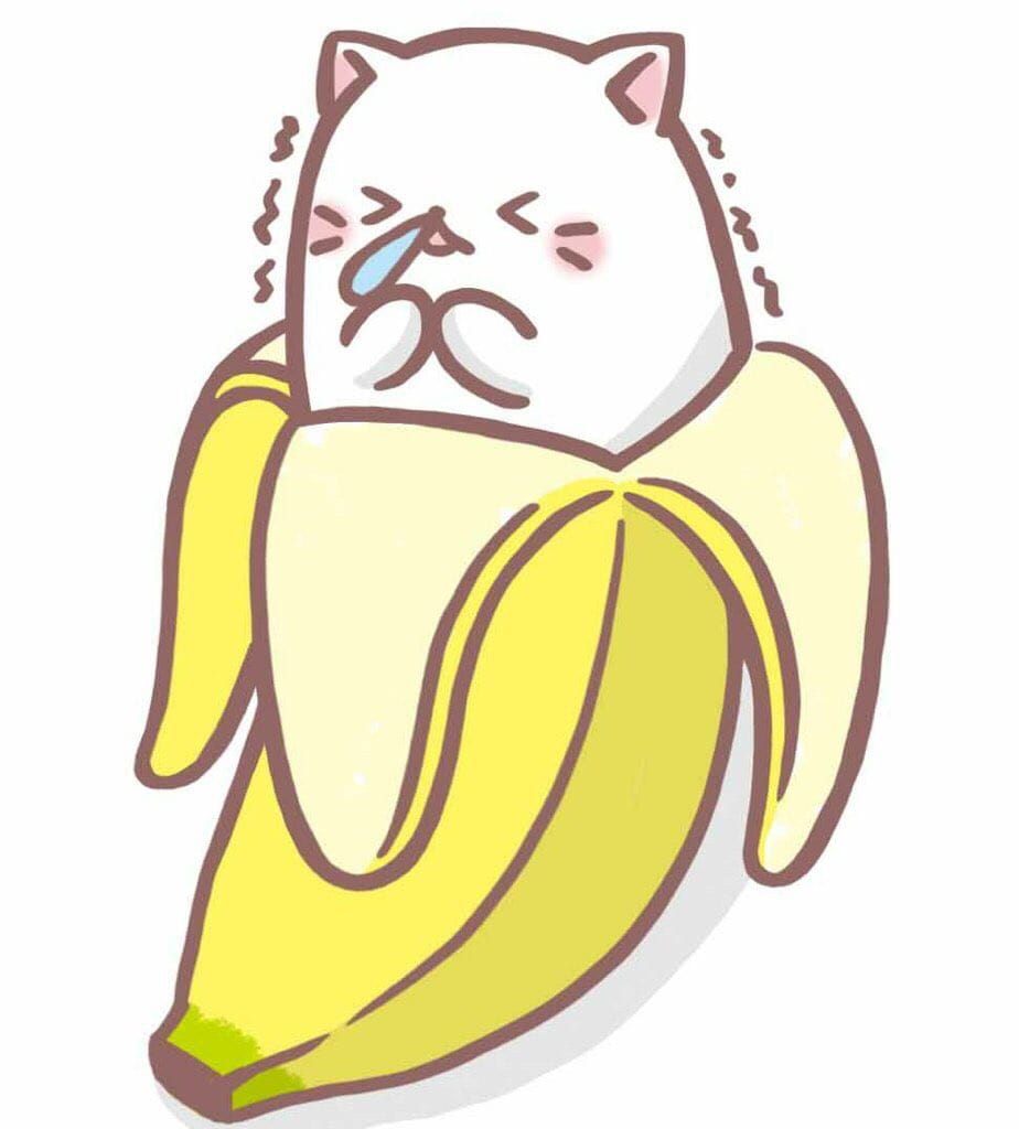 可爱的迷之生物 《香蕉喵》表情包