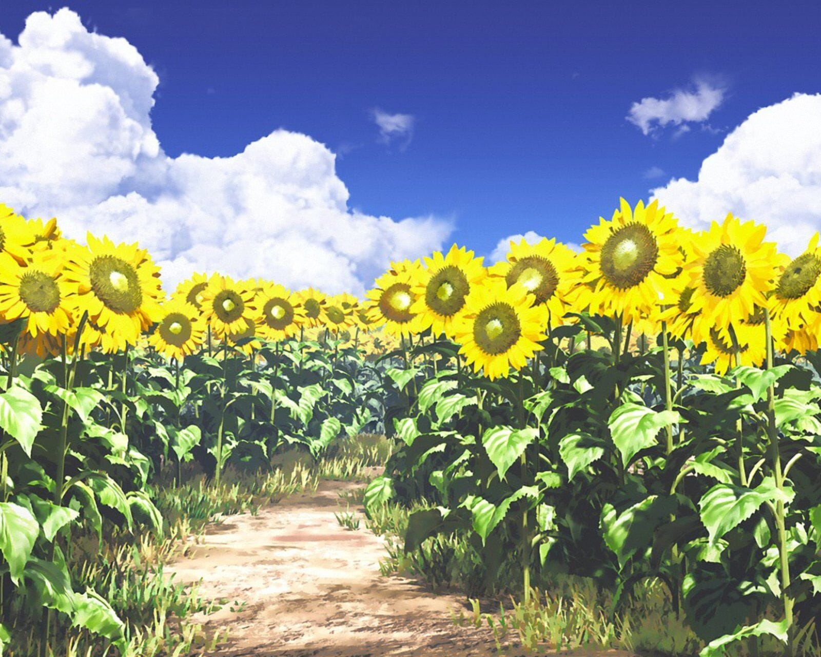 动画场景美图分享 让我们的此生留在二次元