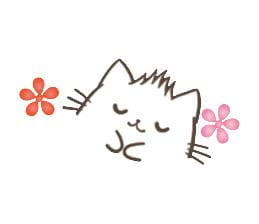 喵喵喵 猫咪动漫表情包 萌萌哒