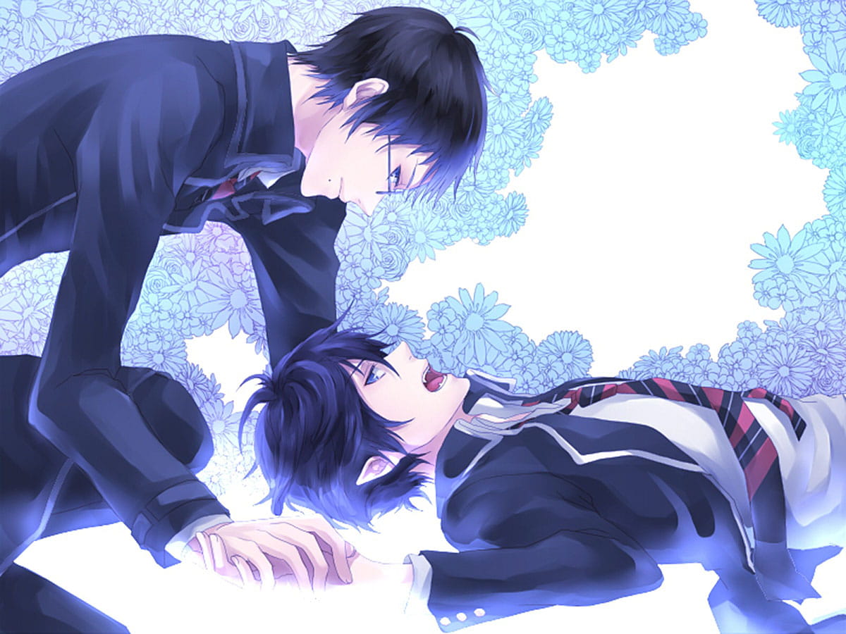 青之驱魔师 桌面壁纸美图下载