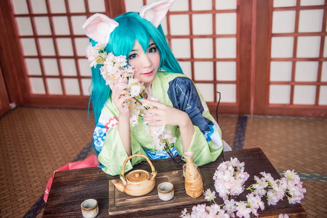 初音未来 动物学院cos 一只懒散的猫咪