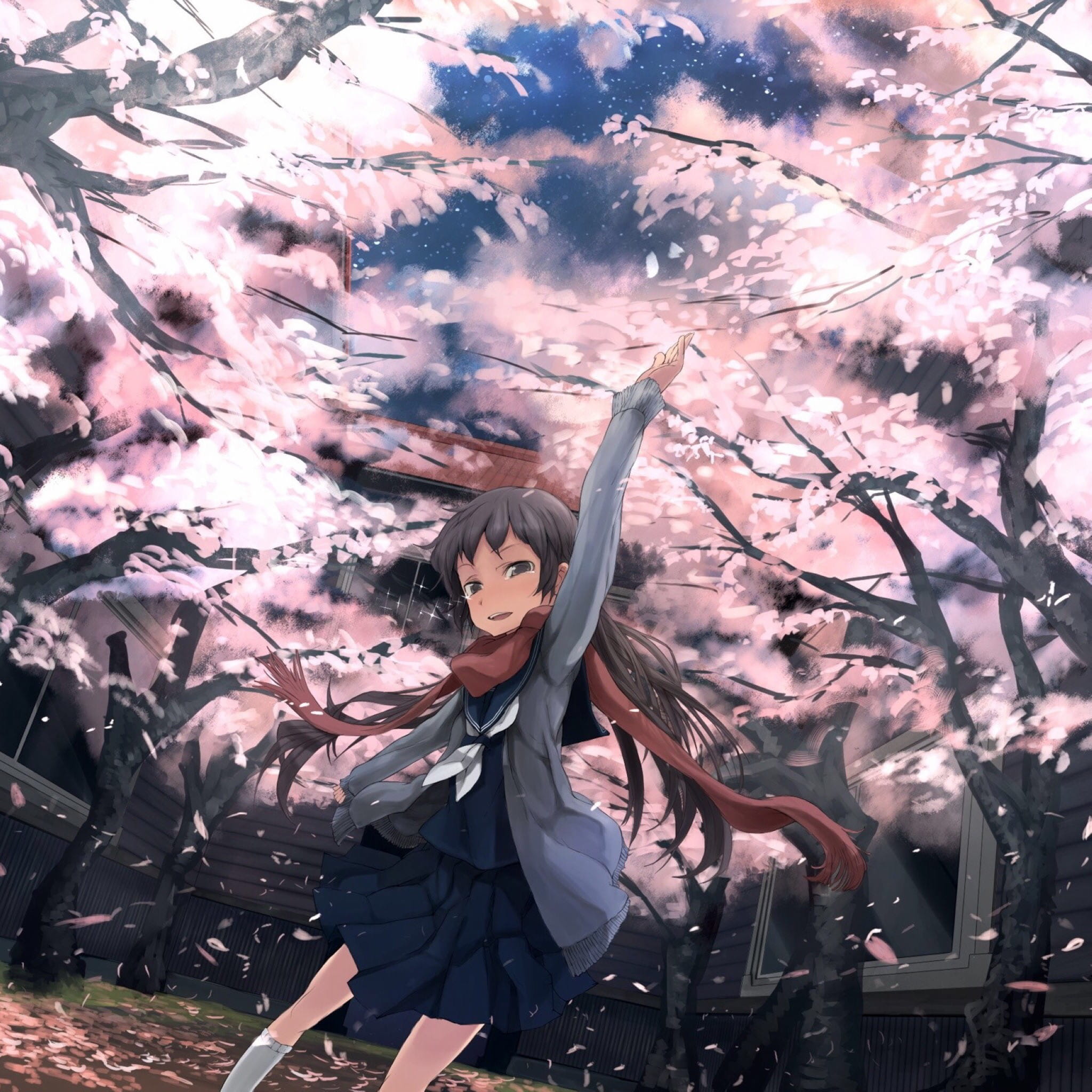 樱花如雨 樱花系列精美大图壁纸下载