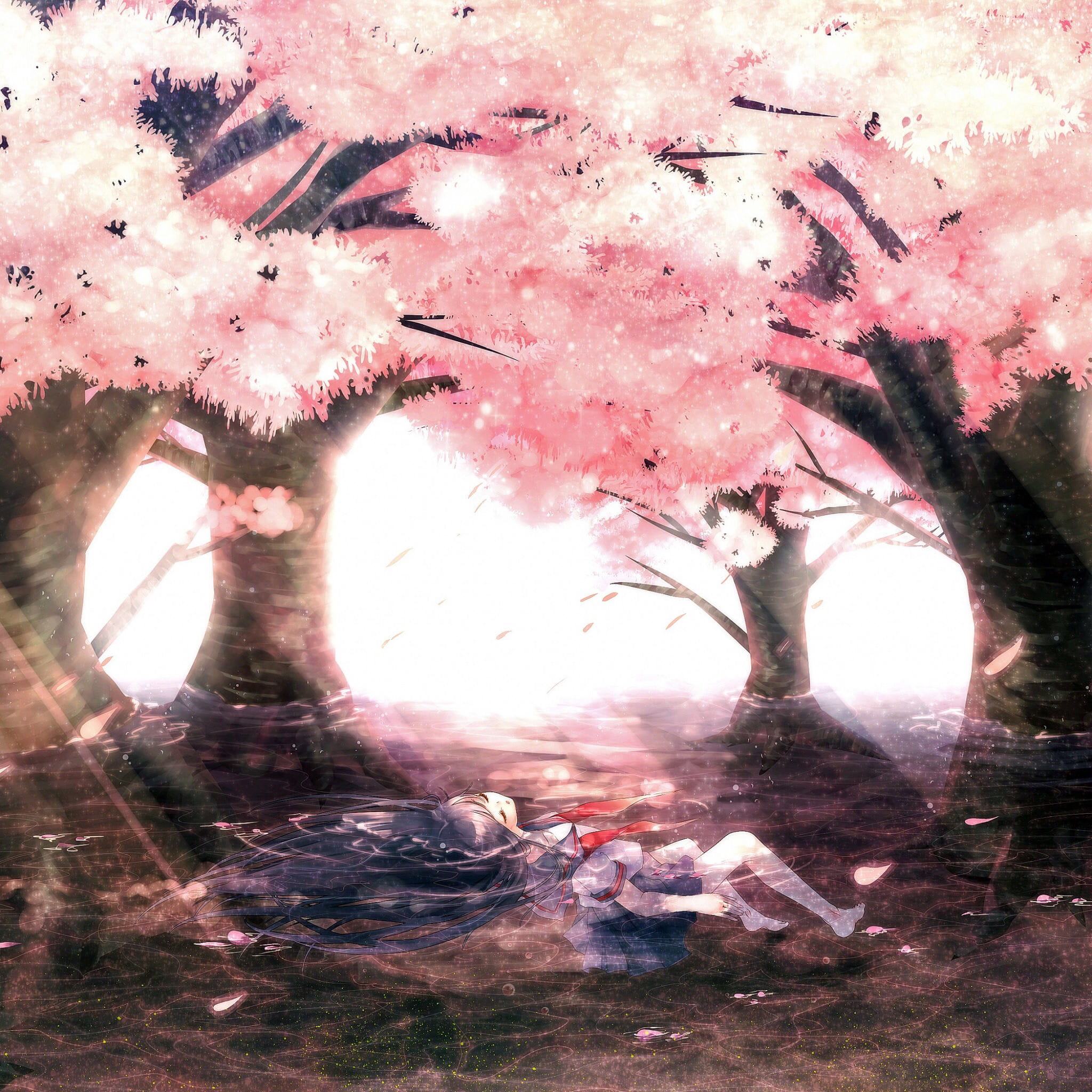 樱花如雨 樱花系列精美大图壁纸下载