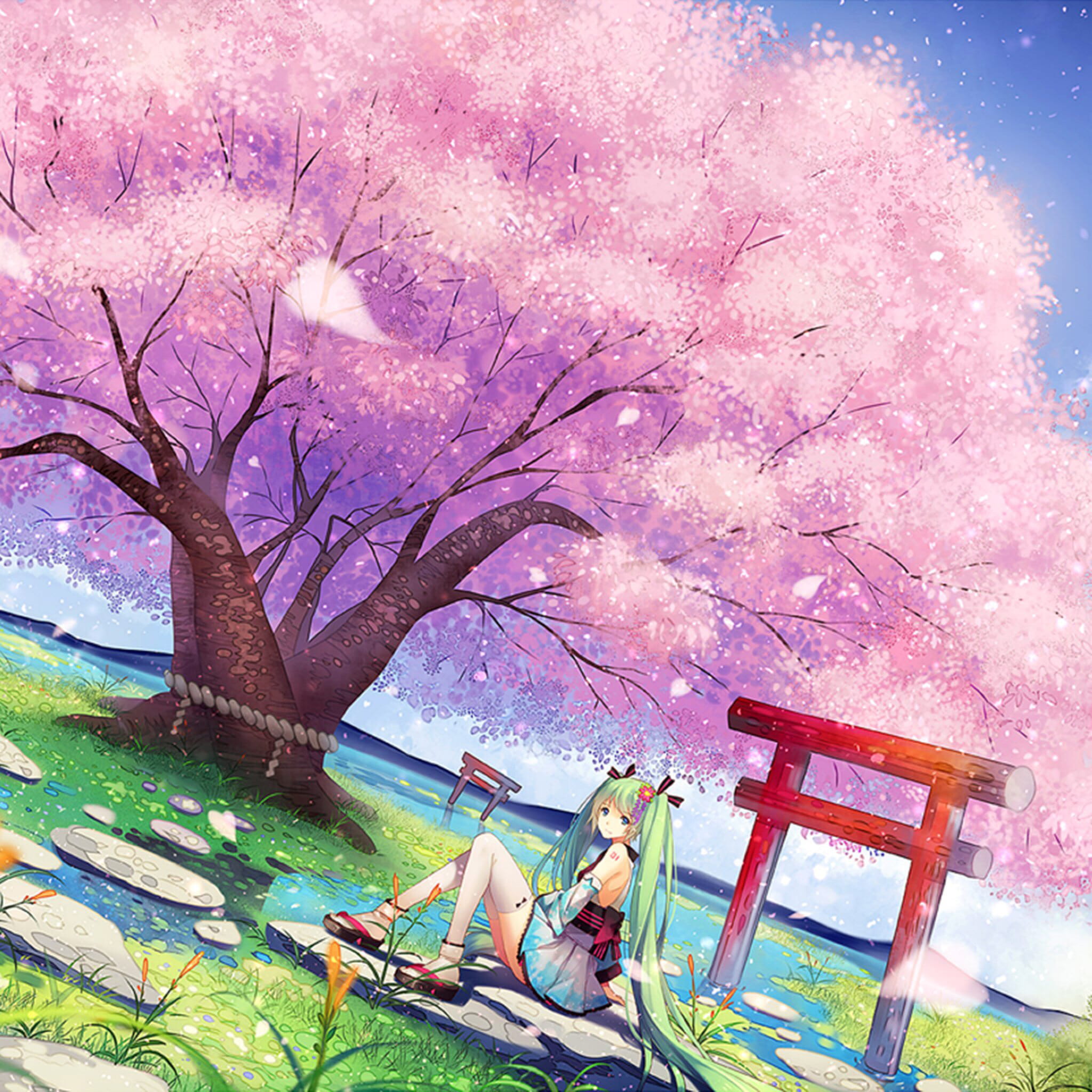 樱花如雨 樱花系列精美大图壁纸下载