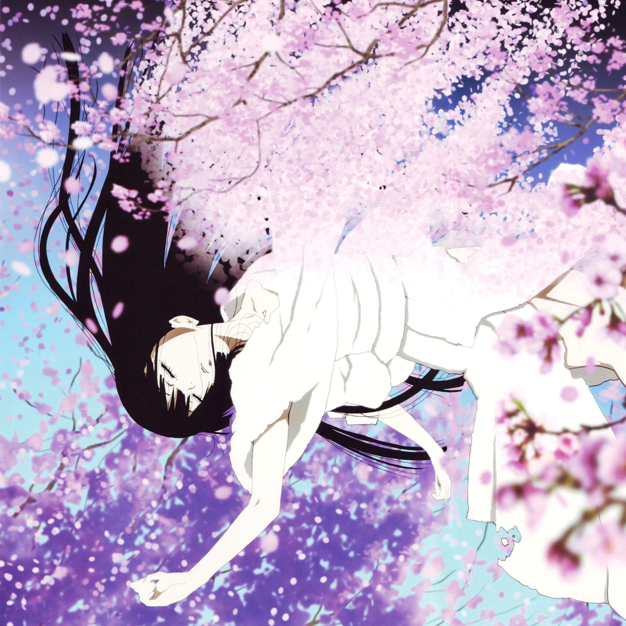 樱花如雨 樱花系列精美大图壁纸下载