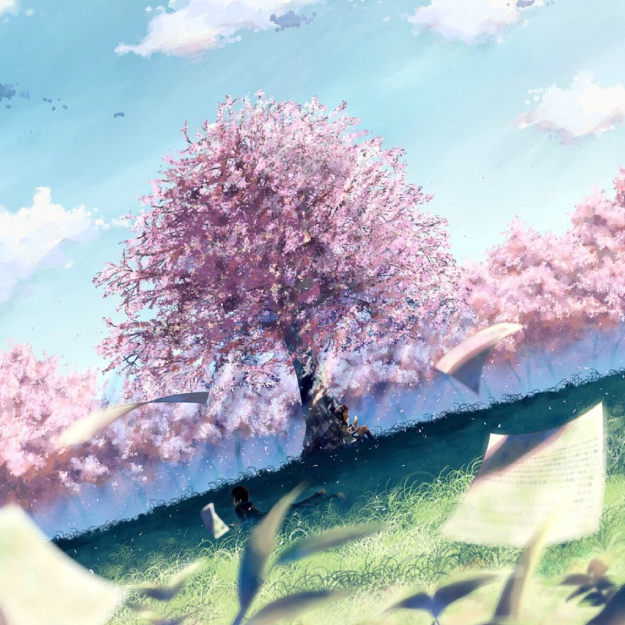 樱花如雨 樱花系列精美大图壁纸下载