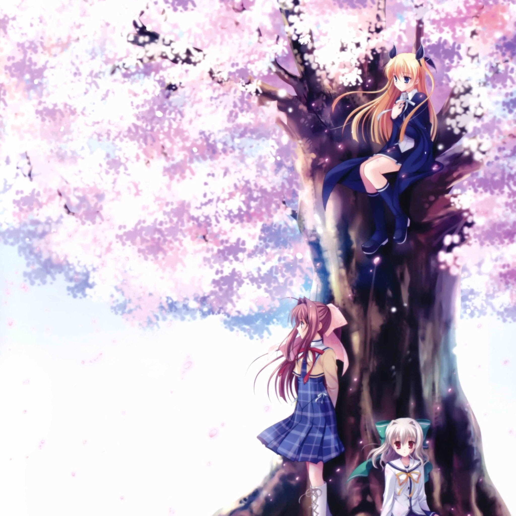 樱花如雨 樱花系列精美大图壁纸下载