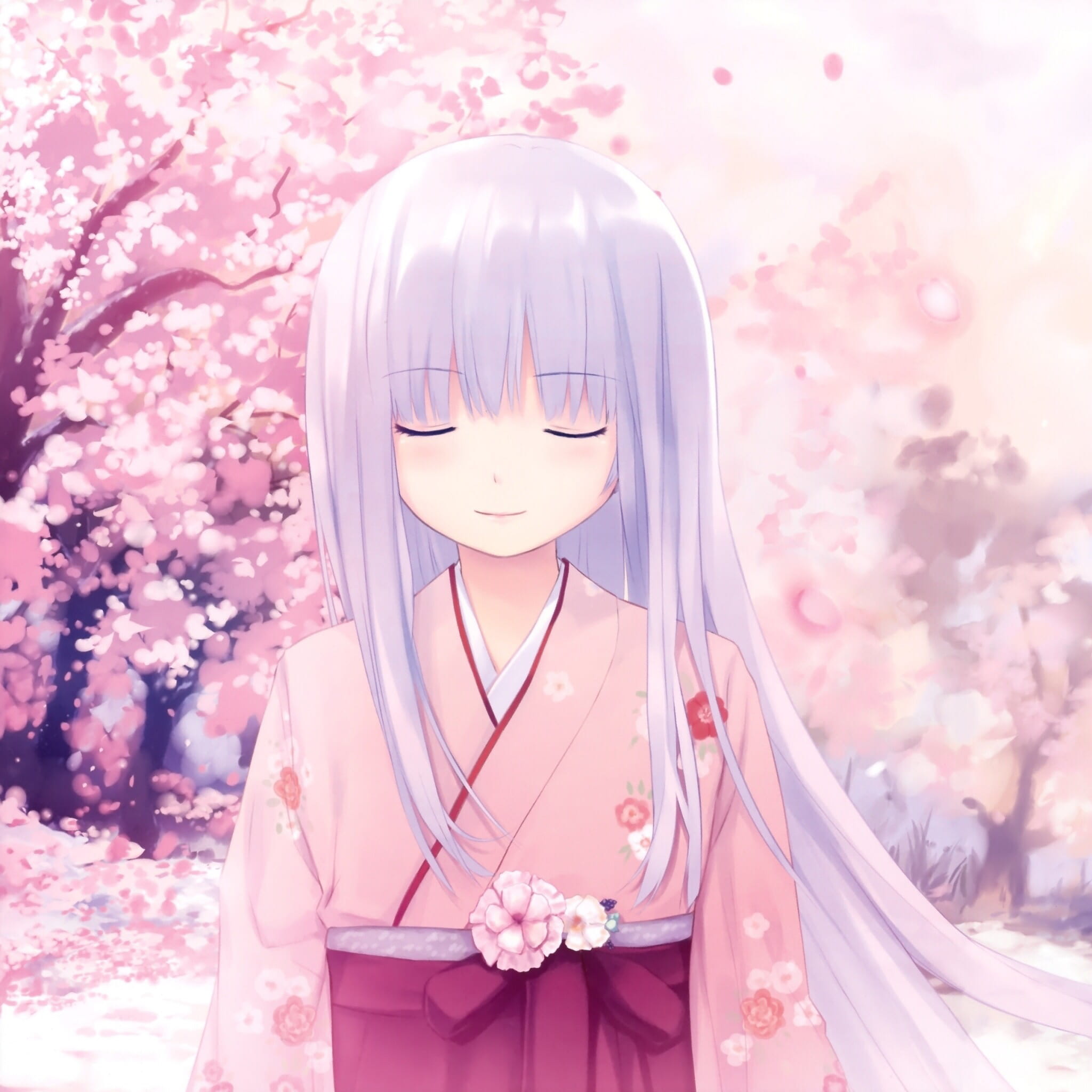 樱花如雨 樱花系列精美大图壁纸下载